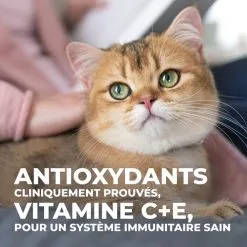 Hill's Science Plan Young Adult Sterilised - Kip - 10kg -Hill's Winkel Online 1256b2fb5b17c649a7d737d5745f0f78c77817b38572b314bb0482e956d69408