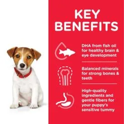 Hill's Puppy Healthy Development™ Mini - Kip -Hill's Winkel Online 171494 atf8 52742281704 key benefits 4 3 g