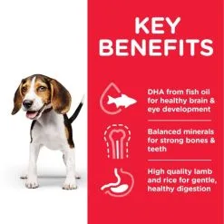 Hill's Puppy Healthy Developmen Medium Lamb & Rice -Hill's Winkel Online 171501 atf8 52742025018 key benefits 7 g