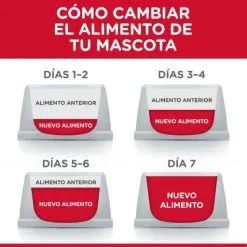 Hill's Adult Gevoelige Maag -Hill's Winkel Online 171532 52742025131 1 10 g