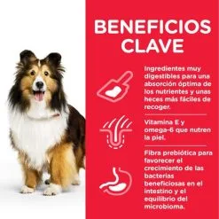 Hill's Adult Gevoelige Maag -Hill's Winkel Online 171532 52742025131 4 6 g