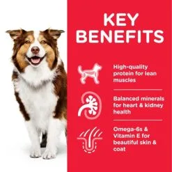Hill's Adult Mature 7+ Active Longevity Medium Kip -Hill's Winkel Online 171537 atf8 52742026176 key benefits 7 g