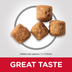 Hill's Adult Light Groot Ras - Kip -Hill's Winkel Online 171602 sp canine science plan adult light large breed chicken dry productkibble 500 4 g