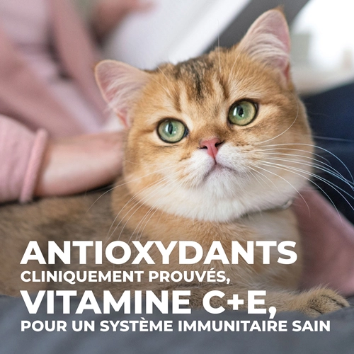 Hill's Science Plan Young Adult Sterilised - Eend - 1,5kg 14 Hill's Science Plan Young Adult Sterilised - Eend - 1,5kg - Afbeelding 12