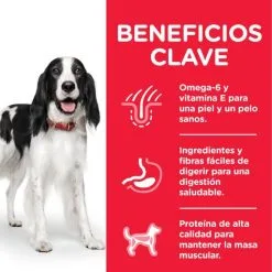 Hill's Adult Advanced Fitness Medium Tonijn En Rijst -Hill's Winkel Online 318 52742926902 4 3 g