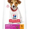 Hill's Science Plan Puppy Small & Mini Hondenvoer Met Kip 6kg -Hill's Winkel Online 3520ee849697a9ff86852c766fa86b1f7100a307d0fb30ece74aaf061a7dd578 scaled