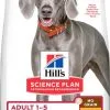 Hill's Science Plan Adult Large Breed No Grain - Kip - 14kg -Hill's Winkel Online 419b72c02e90b5f0c10b107bd787bd85f17b36311a9cb264a56ef18c2443bce0