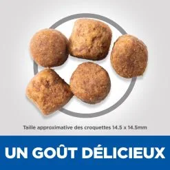 Hill's Hill’s Science Plan Adult Large Breed Kip 14kg -Hill's Winkel Online 52742026015 4 science plan healthy mobility chien adulte large croquettes poulet
