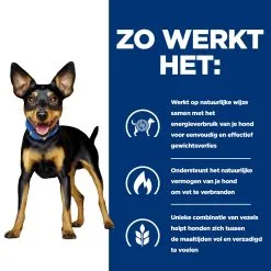 Hill's Prescription Diet Metabolic Kip- En Groentenstoofpotje Voor Hond 24x156g -Hill's Winkel Online 52742047331 2 NL