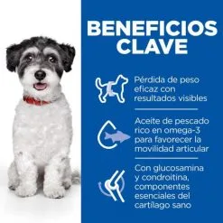 Hill's Pienso Science Plan Perfect Weight & Active Mobility Para Perros Pequeños & Mini De Pollo -Hill's Winkel Online 52742052441 3 61fbfecf41c00 g