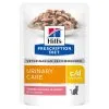 Hill's Hill’s Prescription Diet C/D Multicare – Kattenvoer Met Zalm – Maaltijdzakjes 12x85g 2 Hill's Hill’s Prescription Diet C/D Multicare – Kattenvoer Met Zalm – Maaltijdzakjes 12x85g -Hill's Winkel Online 52742188218 0 NL