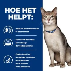 Hill's Hill’s Prescription Diet K/D – Kattenvoer Met Rund – Maaltijdzakjes 12x85g 12 Hill's Hill’s Prescription Diet K/D – Kattenvoer Met Rund – Maaltijdzakjes 12x85g -Hill's Winkel Online 52742274102 3 NL