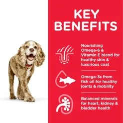 Hill's Canine Senior 11+ Small & Miniature Original -Hill's Winkel Online 62899 atf8 52742283005 key benefits 7 g