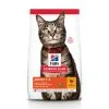 Hill's Science Plan Adult Kattenvoer Met Kip 15kg -Hill's Winkel Online 9033f6dcc7f99e40c9fa586ec4b78ae44e1082966839de08c7fb5c2bbee16c7d 1