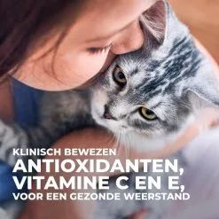 Hill's Science Plan Kitten Perfect Digestion Met Kip En Bruine Rijst Kattenvoer 10kg -Hill's Winkel Online Hills Science Plan Kitten Perfect Digestion 6 NL