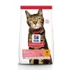 Hill's Hill’s Science Plan Adult Light Kattenvoer Kip 10kg 2 Hill's Hill’s Science Plan Adult Light Kattenvoer Kip 10kg -Hill's Winkel Online a1b1b8f615545930110f88ece795df8e163d17963e3d7295ca3fe63ce185b5ef
