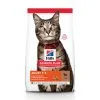 Hill's Science Plan Adult Kattenvoer Met Lam & Rijst 7kg 1 Hill's Science Plan Adult Kattenvoer Met Lam & Rijst 7kg -Hill's Winkel Online c3e41dfaba99d86260bf42c755d4d32a4ab4c7c435fb1f2717e049ff1f8177cb