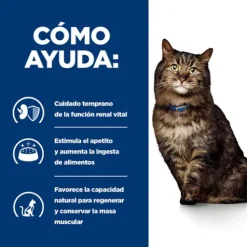 Hill's Prescription Diet K/D Early Stage Feline Met Kip -Hill's Winkel Online pd kd early stage feline chicken dry productSpotlight1 500 63874c44b9d5f g