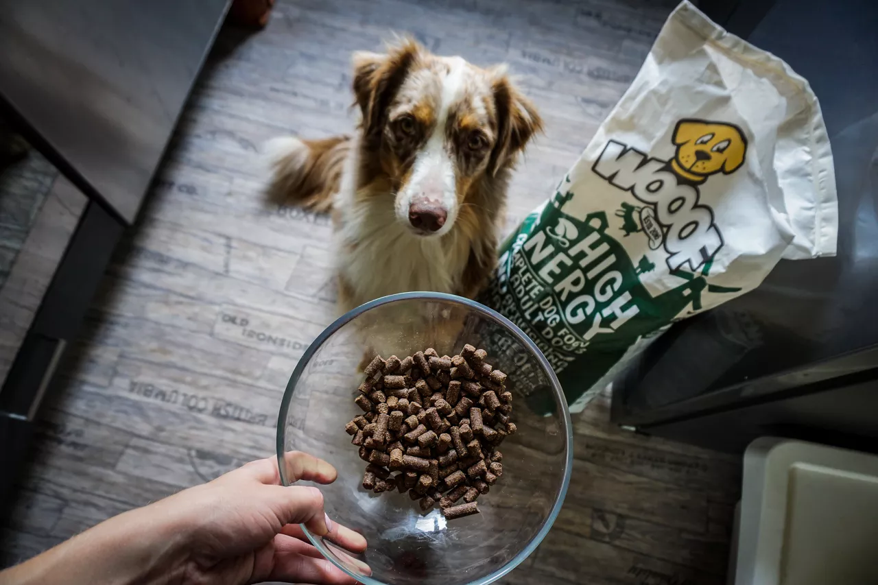 Hill's Winkel Online -Hill's Winkel Online Goed hondenvoer